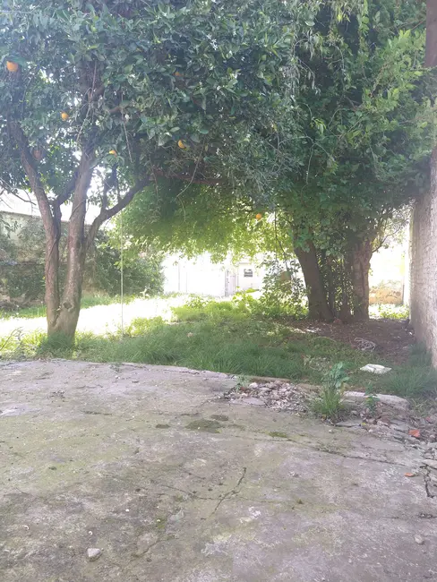 Foto 7 de Terreno / Lote à venda, 342m2 em Santa Maria - RS