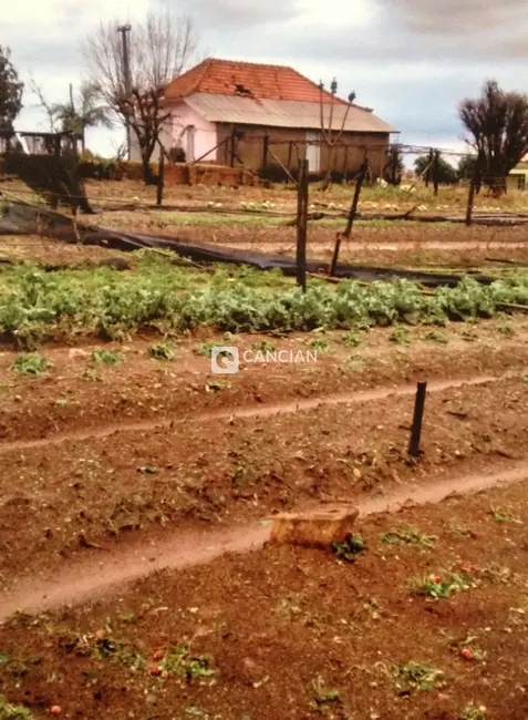 Foto 5 de Chácara com 3 quartos à venda, 1200000m2 em Restinga Seca - RS