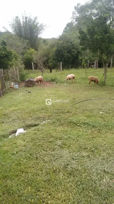 Foto 7 de Chácara com 3 quartos à venda, 75m2 em Campestre do Menino Deus, Santa Maria - RS