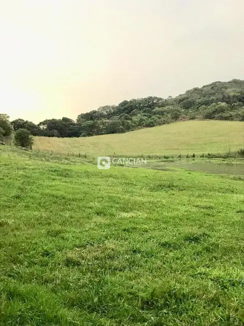 Foto 4 de Chácara com 2 quartos à venda, 300000m2 em Silveira Martins - RS