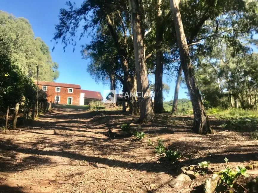 Foto 8 de Chácara com 2 quartos à venda, 300000m2 em Silveira Martins - RS