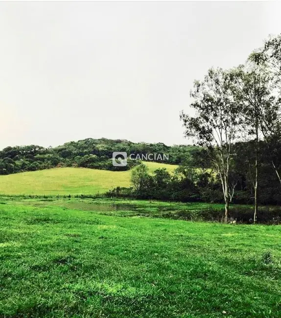 Foto 6 de Chácara com 2 quartos à venda, 300000m2 em Silveira Martins - RS