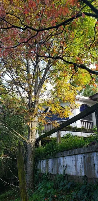 Foto 6 de Chácara com 4 quartos à venda, 30000m2 em Campestre do Menino Deus, Santa Maria - RS