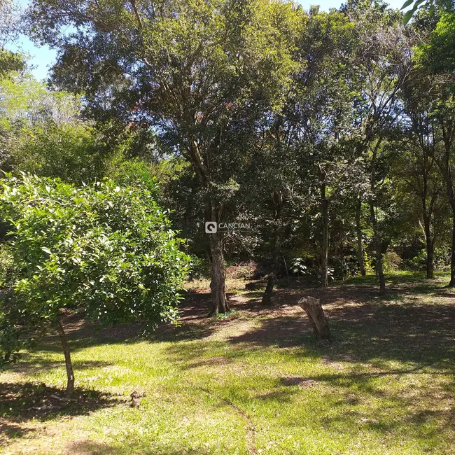 Foto 9 de Chácara com 2 quartos à venda, 8000m2 em Pé de Plátano, Santa Maria - RS