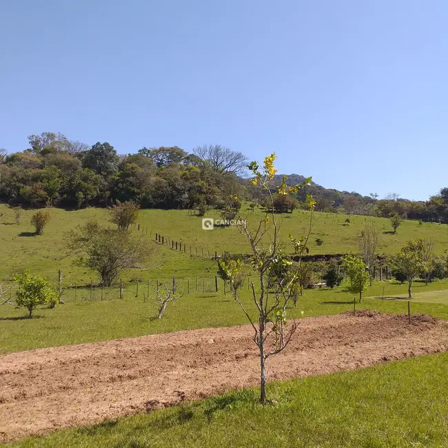 Foto 7 de Chácara com 2 quartos à venda, 8000m2 em Pé de Plátano, Santa Maria - RS