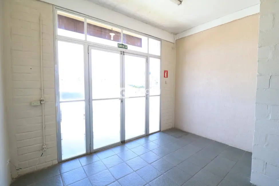 Foto 6 de Sala Comercial com 4 quartos para alugar, 385m2 em Nossa Senhora Medianeira, Santa Maria - RS