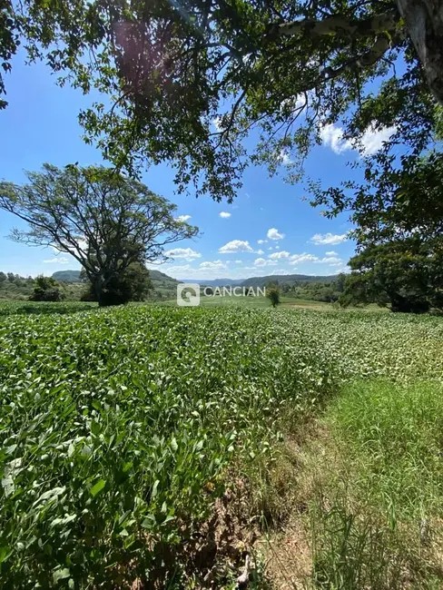 Foto 9 de Chácara com 3 quartos à venda, 230000m2 em Caturrita, Santa Maria - RS