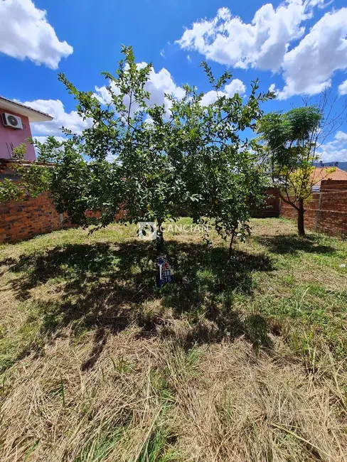 Foto 2 de Terreno / Lote à venda, 300m2 em Pinheiro Machado, Santa Maria - RS