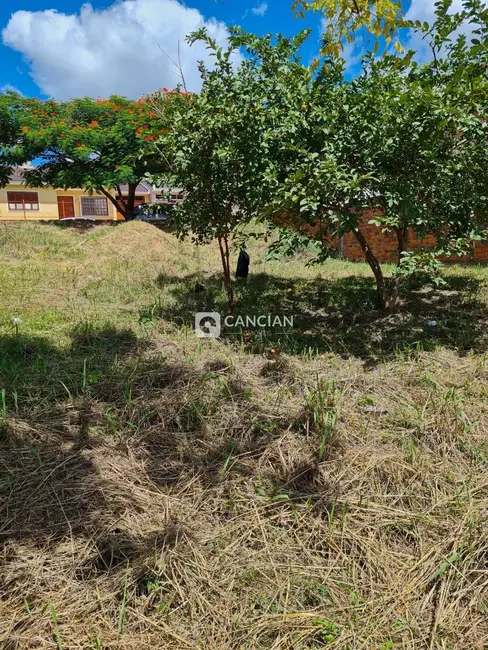 Foto 3 de Terreno / Lote à venda, 300m2 em Pinheiro Machado, Santa Maria - RS