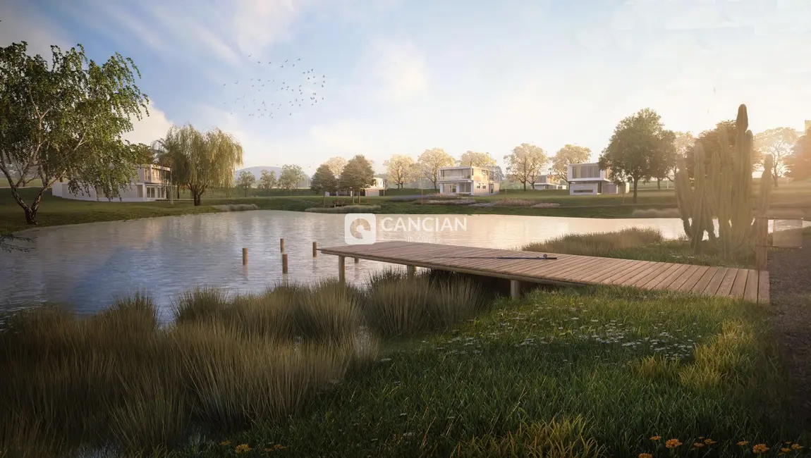 Foto 3 de Terreno / Lote à venda, 547m2 em Tomazetti, Santa Maria - RS