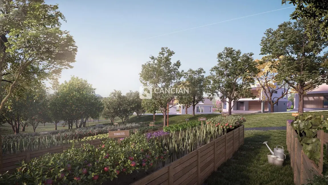 Foto 2 de Terreno / Lote à venda, 547m2 em Tomazetti, Santa Maria - RS