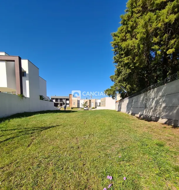 Foto 3 de Terreno / Lote à venda, 689m2 em Camobi, Santa Maria - RS