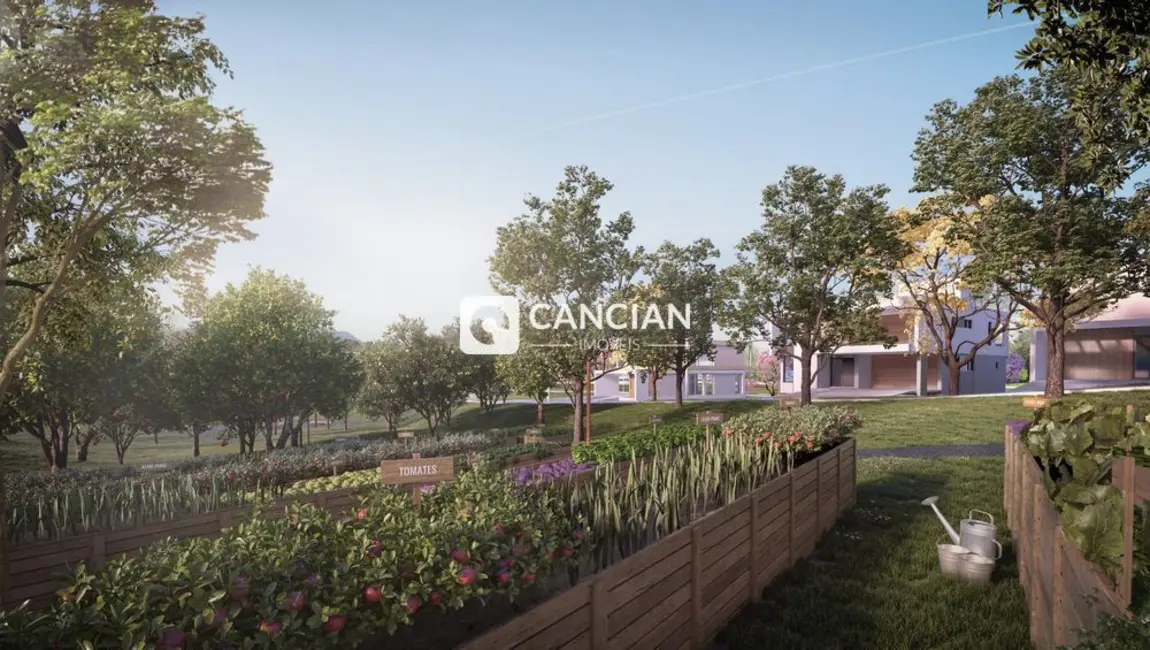 Foto 4 de Terreno / Lote à venda, 336m2 em Tomazetti, Santa Maria - RS