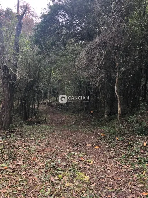 Foto 6 de Chácara à venda, 170000m2 em Santa Maria - RS