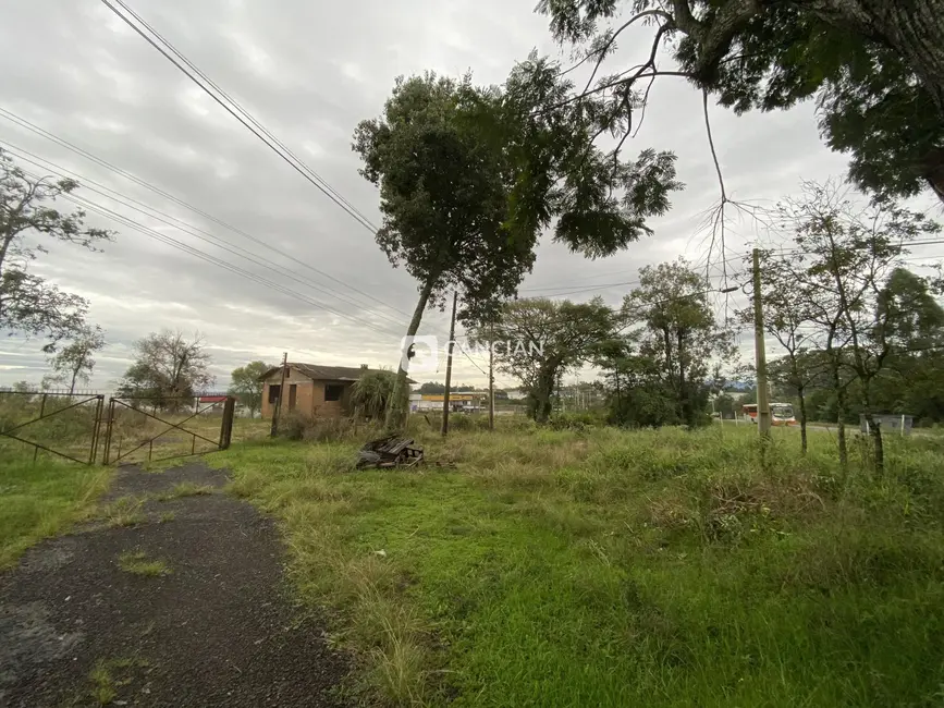 Foto 5 de Terreno / Lote à venda, 8790m2 em Urlândia, Santa Maria - RS