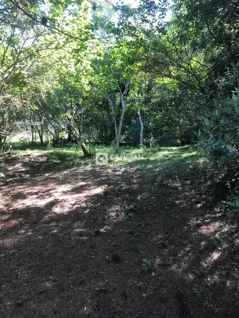 Foto 4 de Terreno / Lote à venda, 5000m2 em Cerrito, Santa Maria - RS