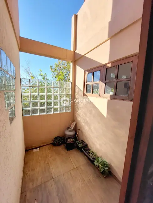 Casa com 3 quartos à venda, 120m2 em Nossa Senhora Medianeira, Santa Maria - RS - imagem 8 Foto 8 de Casa com 3 quartos à venda, 120m2 em Nossa Senhora Medianeira, Santa Maria - RS