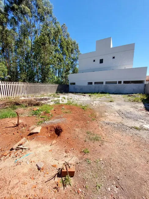 Foto 2 de Terreno / Lote à venda, 328m2 em Camobi, Santa Maria - RS