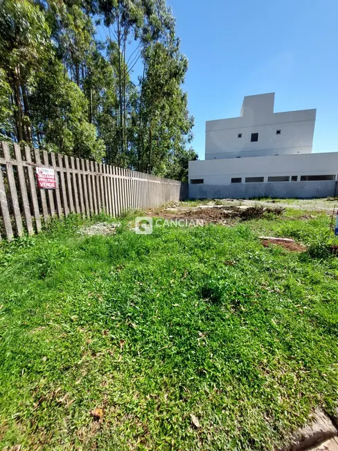 Foto 4 de Terreno / Lote à venda, 328m2 em Camobi, Santa Maria - RS