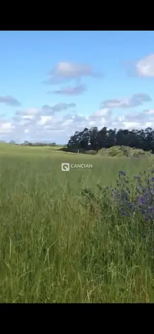 Foto 2 de Terreno / Lote à venda, 94200m2 em Restinga Seca - RS