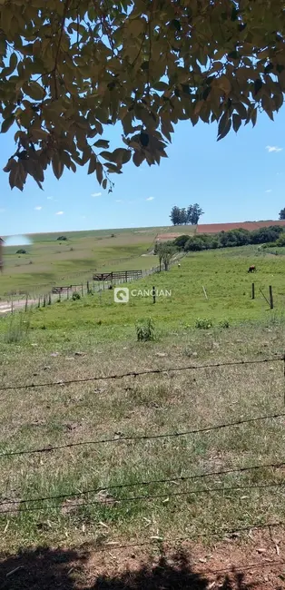 Foto 3 de Terreno / Lote à venda, 450m2 em Santa Maria - RS