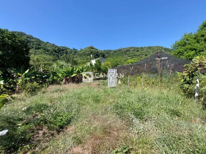 Foto 2 de Terreno / Lote à venda, 364m2 em Nossa Senhora do Perpétuo Socorro, Santa Maria - RS