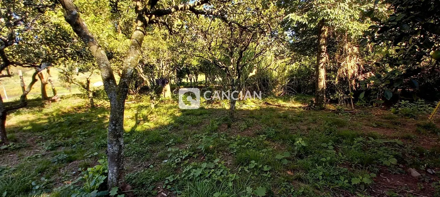 Foto 5 de Chácara com 3 quartos à venda, 120m2 em Santa Maria - RS
