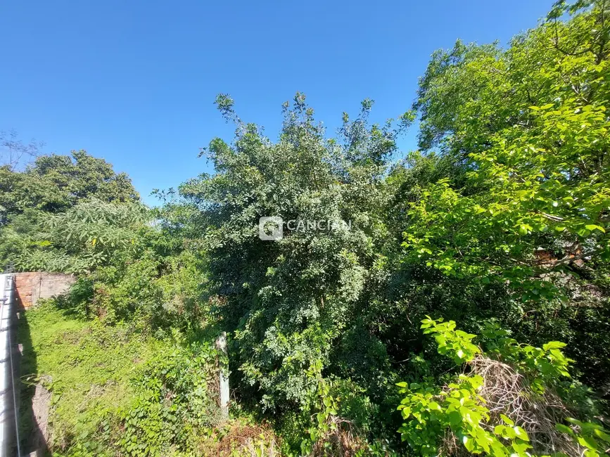Foto 5 de Terreno / Lote à venda, 737m2 em Nossa Senhora das Dores, Santa Maria - RS