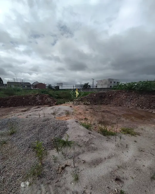 Foto 8 de Terreno / Lote à venda, 5000m2 em Centro, Pinhais - PR