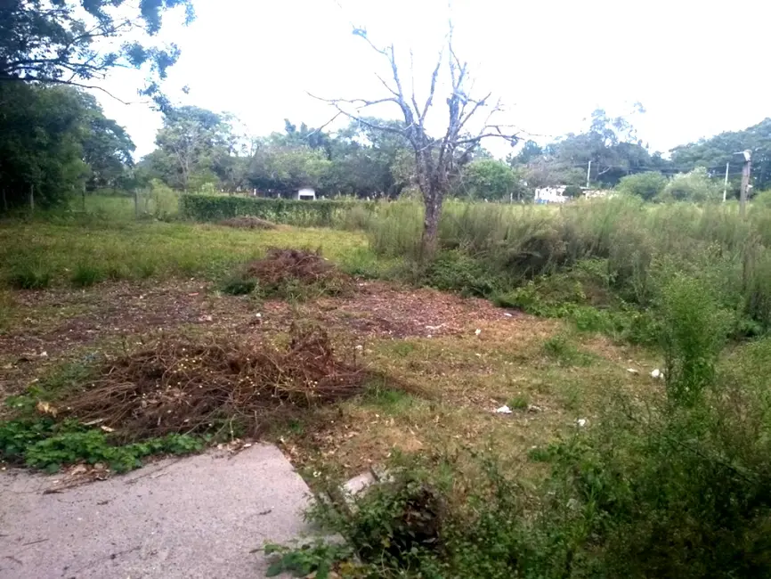 Foto 5 de Sítio / Rancho com 4 quartos à venda, 150m2 em Lami, Porto Alegre - RS