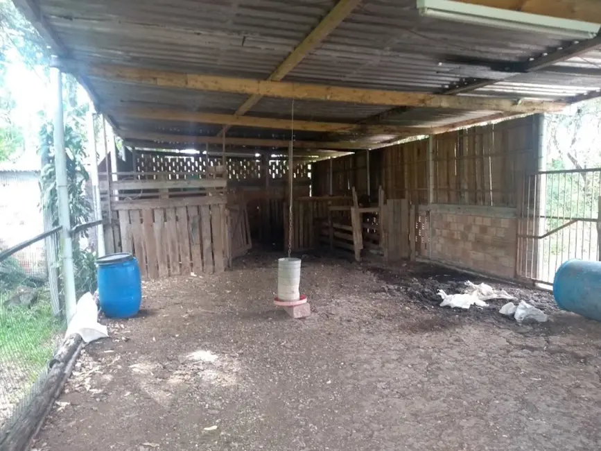 Foto 9 de Sítio / Rancho com 4 quartos à venda, 150m2 em Lami, Porto Alegre - RS