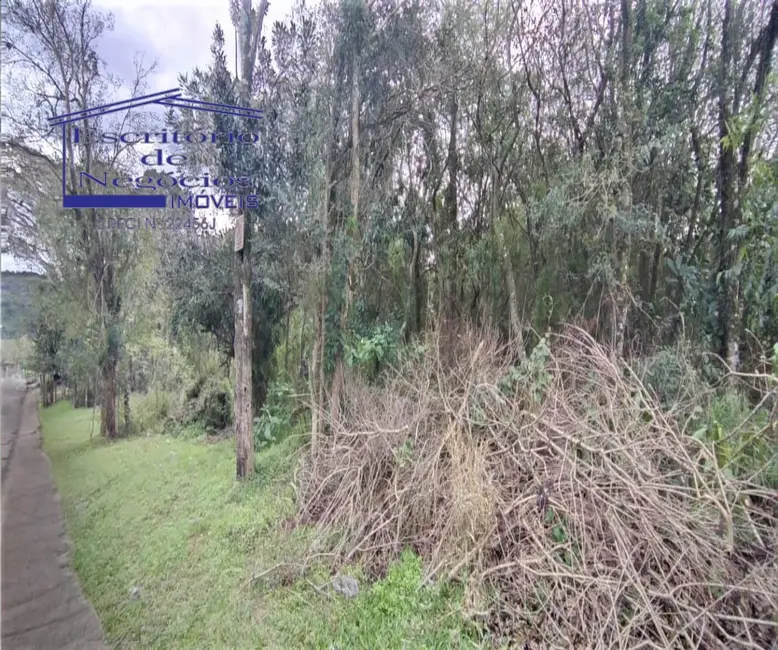 Foto 5 de Terreno / Lote à venda, 7657m2 em Lomba do Pinheiro, Porto Alegre - RS