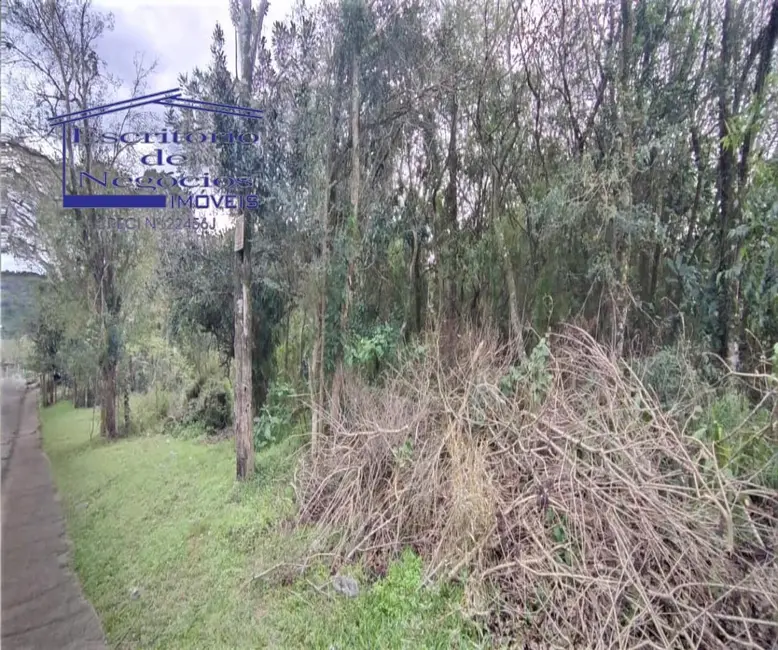 Foto 3 de Terreno / Lote à venda, 10040m2 em Lomba do Pinheiro, Porto Alegre - RS