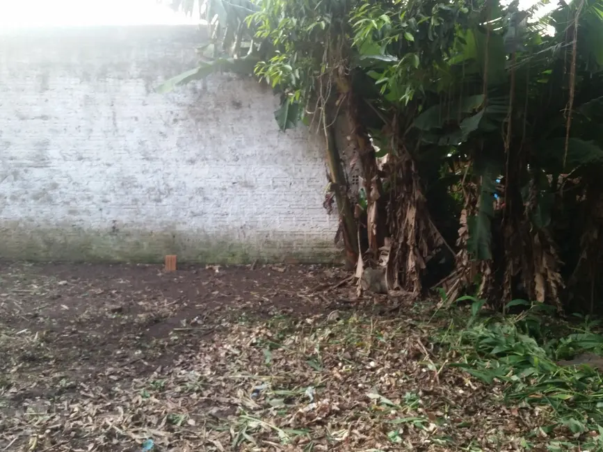 Foto 5 de Terreno / Lote com 4 quartos à venda, 120m2 em Camaquã, Porto Alegre - RS