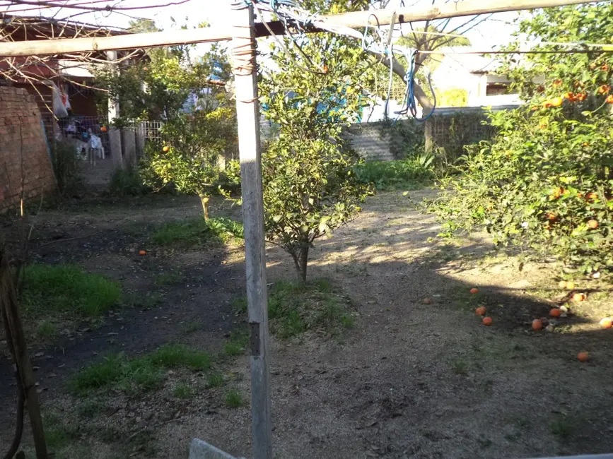 Casa com 3 quartos à venda, 120m2 em Lami, Porto Alegre - RS - imagem 6 Foto 6 de Casa com 3 quartos à venda, 120m2 em Lami, Porto Alegre - RS