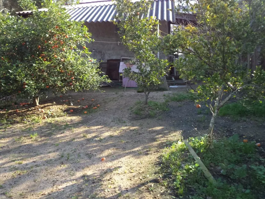 Casa com 3 quartos à venda, 120m2 em Lami, Porto Alegre - RS - imagem 8 Foto 8 de Casa com 3 quartos à venda, 120m2 em Lami, Porto Alegre - RS