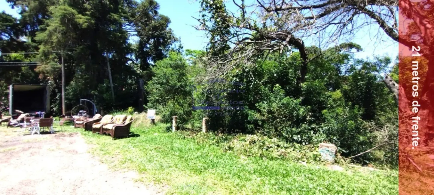 Foto 4 de Terreno / Lote à venda, 3150m2 em Ipanema, Porto Alegre - RS