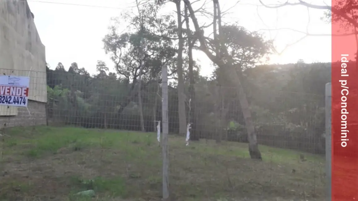 Foto 5 de Terreno / Lote à venda, 600m2 em Vila Nova, Porto Alegre - RS