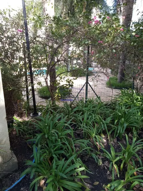 Apartamento com 2 quartos à venda, 45m2 em Cristal, Porto Alegre - RS - imagem 5 Foto 5 de Apartamento com 2 quartos à venda, 45m2 em Cristal, Porto Alegre - RS
