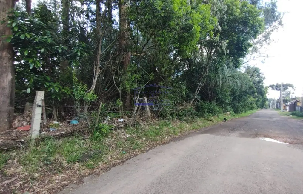Foto 5 de Terreno / Lote à venda em Lomba do Pinheiro, Porto Alegre - RS