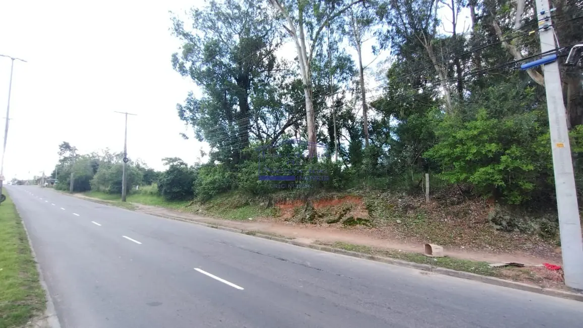 Foto 7 de Terreno / Lote à venda em Lomba do Pinheiro, Porto Alegre - RS