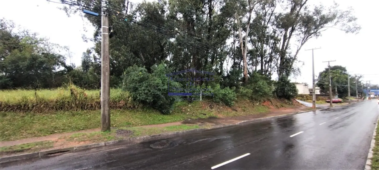 Foto 3 de Terreno / Lote à venda em Lomba do Pinheiro, Porto Alegre - RS
