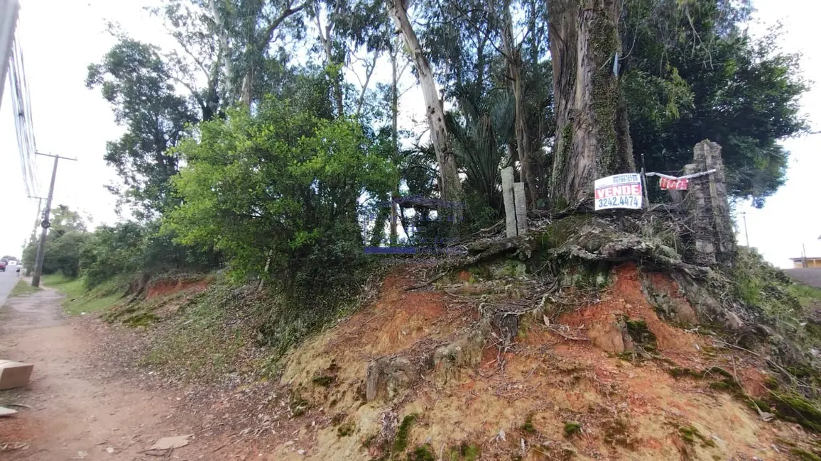Foto 6 de Terreno / Lote à venda em Lomba do Pinheiro, Porto Alegre - RS