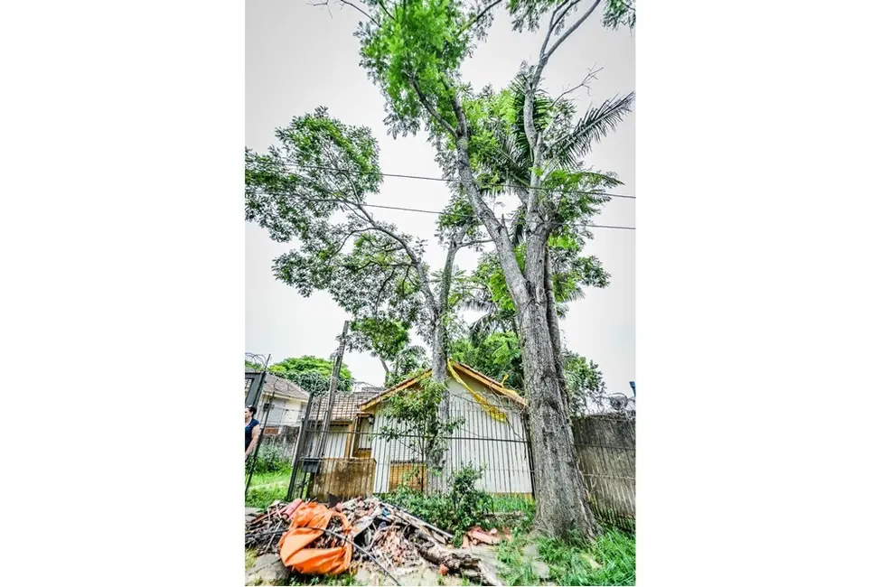 Casa de Condomínio com 3 quartos à venda, 143m2 em Santa Tereza, Porto Alegre - RS - imagem 5 Foto 5 de Casa de Condomínio com 3 quartos à venda, 143m2 em Santa Tereza, Porto Alegre - RS