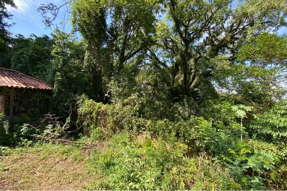 Foto 2 de Terreno / Lote à venda em Cristal, Porto Alegre - RS