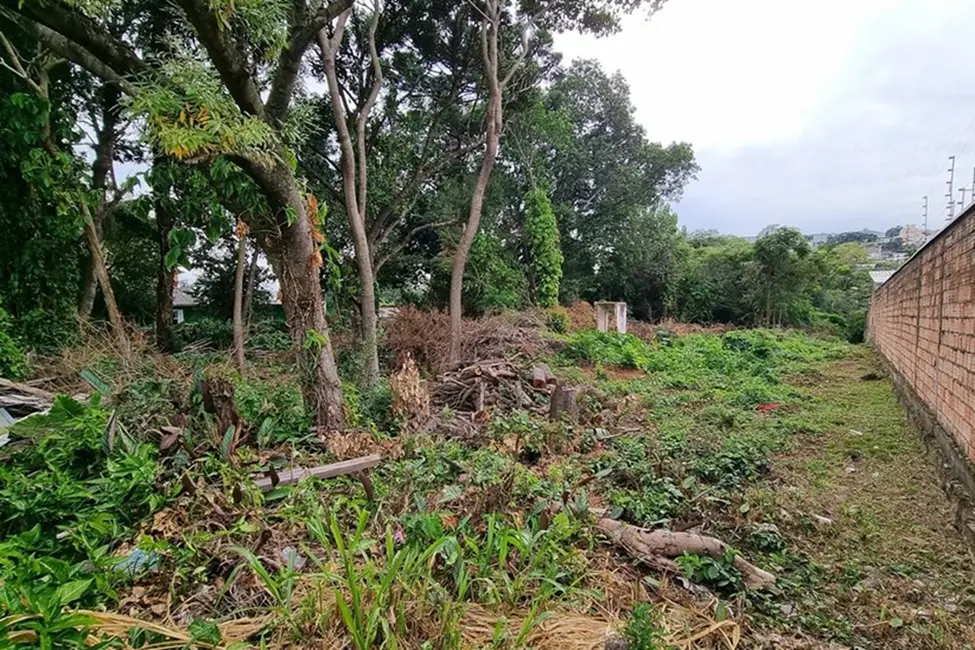 Foto 3 de Terreno / Lote à venda em Nonoai, Porto Alegre - RS