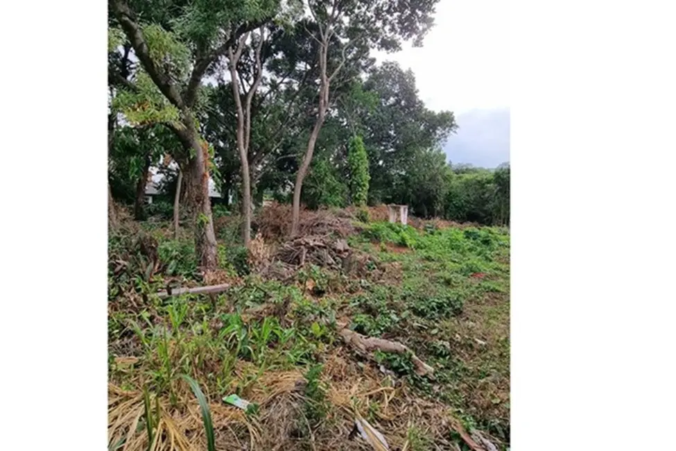 Foto 4 de Terreno / Lote à venda em Nonoai, Porto Alegre - RS