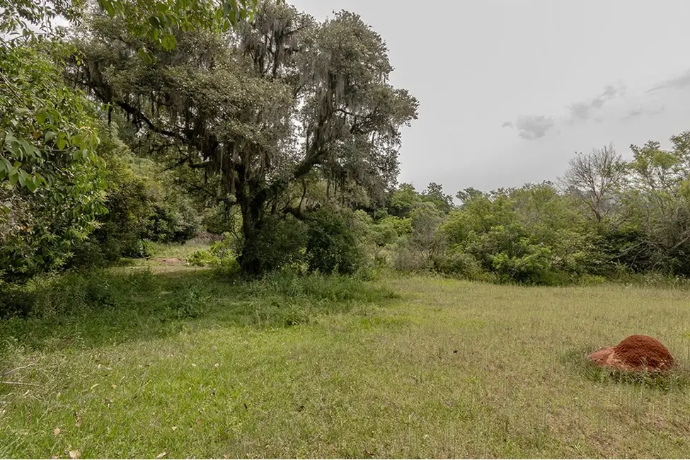 Foto 9 de Terreno / Lote à venda em Belém Velho, Porto Alegre - RS