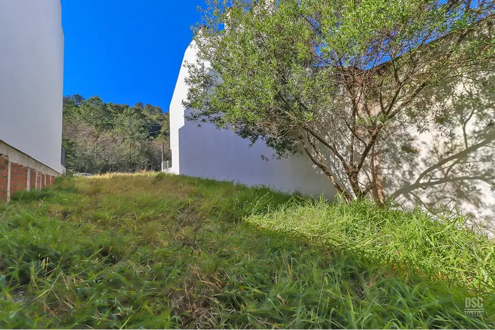 Foto 5 de Terreno / Lote à venda, 224m2 em Guarujá, Porto Alegre - RS