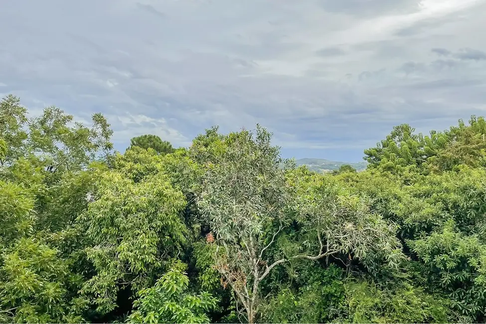 Foto 7 de Casa com 3 quartos à venda, 232m2 em Aberta dos Morros, Porto Alegre - RS